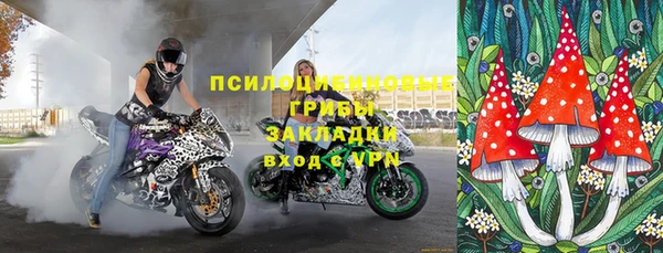 СК Верхний Тагил